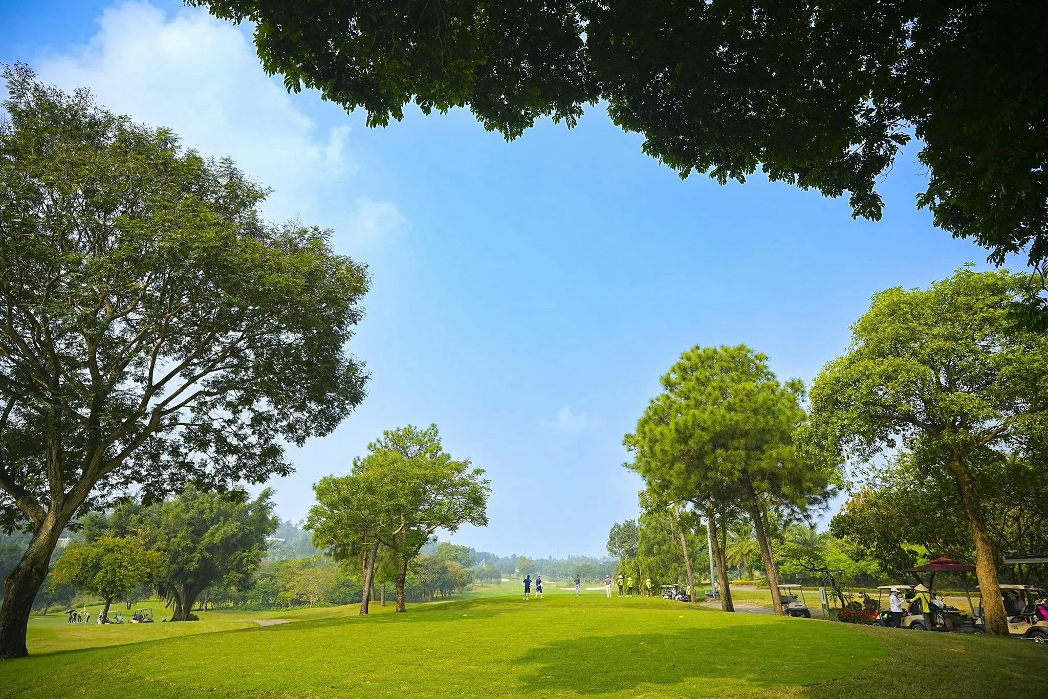 Combo Golf Tam Đảo 2 Ngày 1 Đêm